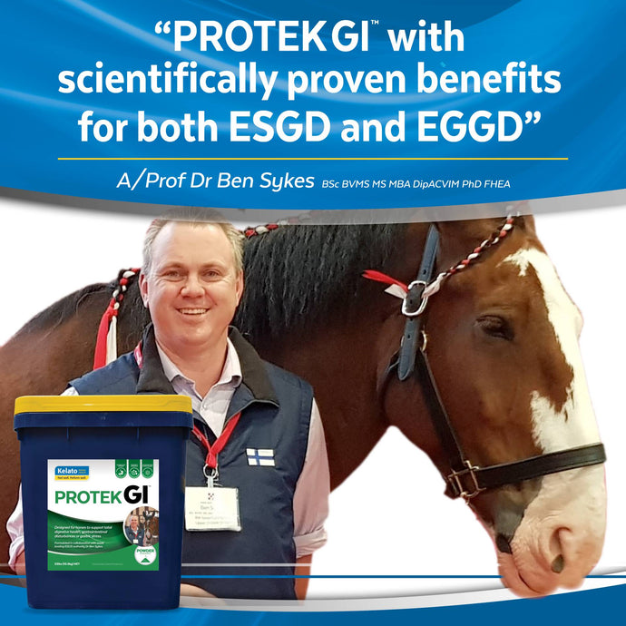 Prof Ben Sykes recommends PROTEK GI and here’s why!