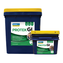 Load image into Gallery viewer, PROTEK GI
