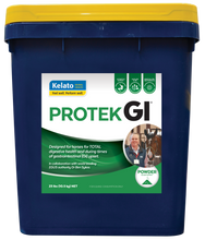 Load image into Gallery viewer, PROTEK GI
