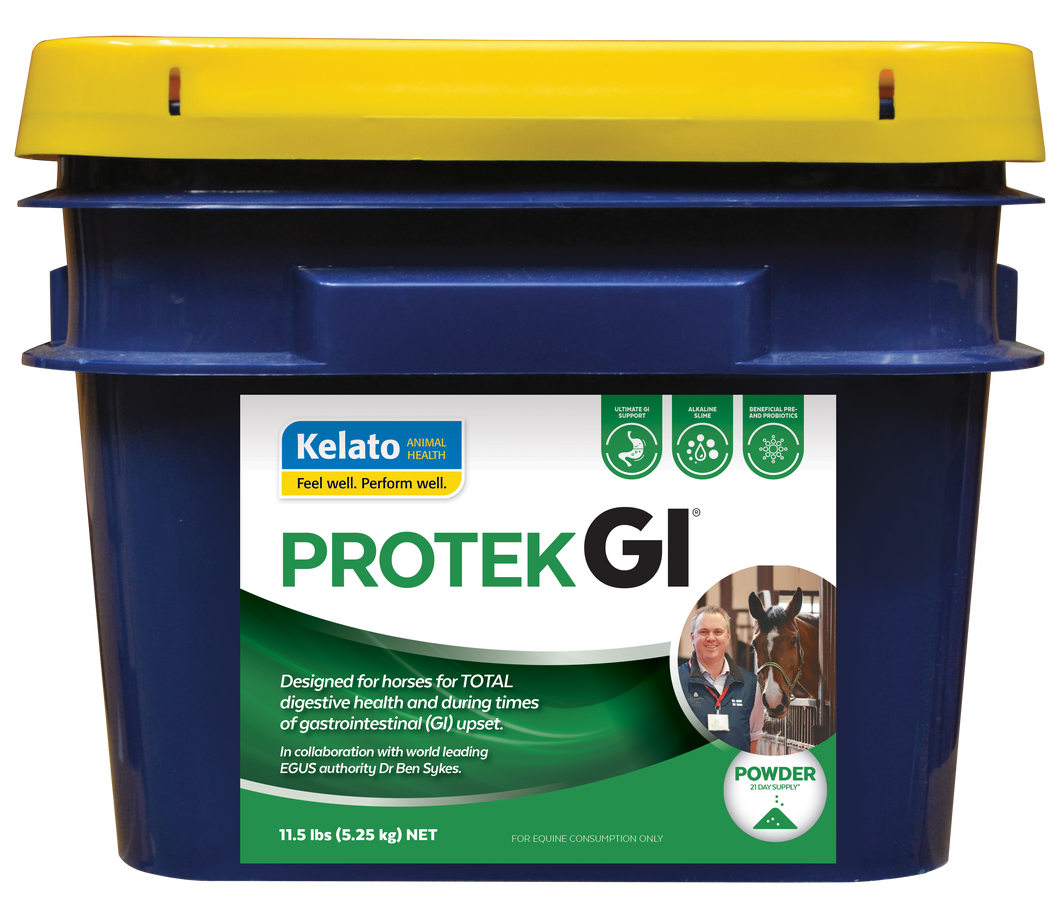 PROTEK GI